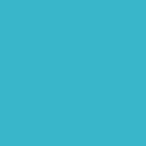 Toofaan express logo style Design